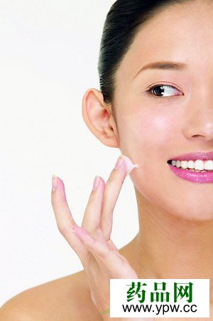 Ƥ�w�����cƤ�w���ё�ԓ�����ˎ