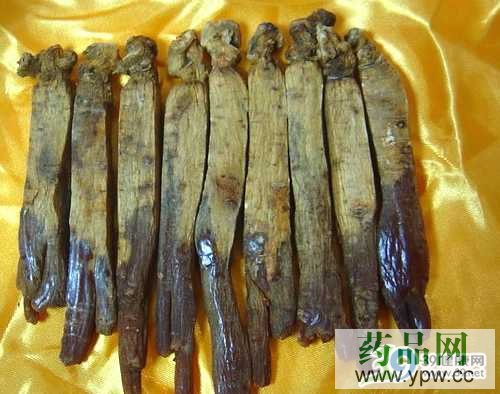 �����R�e�����a(b��)ˎ 