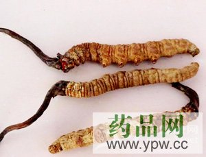 ����֧�У����x(ch��ng)�Ĳ��ɱ�e