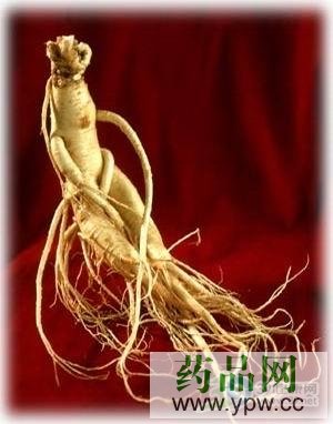 ���ø����� ���l(f��)��Ѫ��